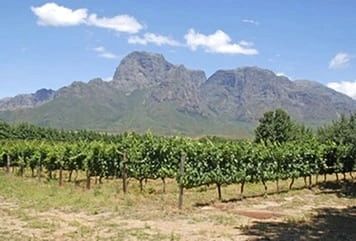 Farm lands